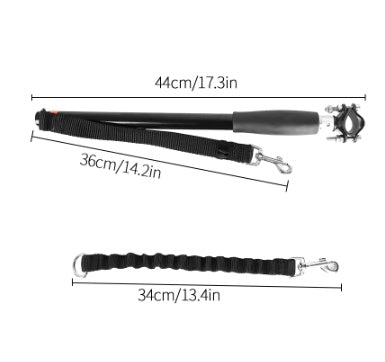 Bicycle Walking Dog Leash Dog
