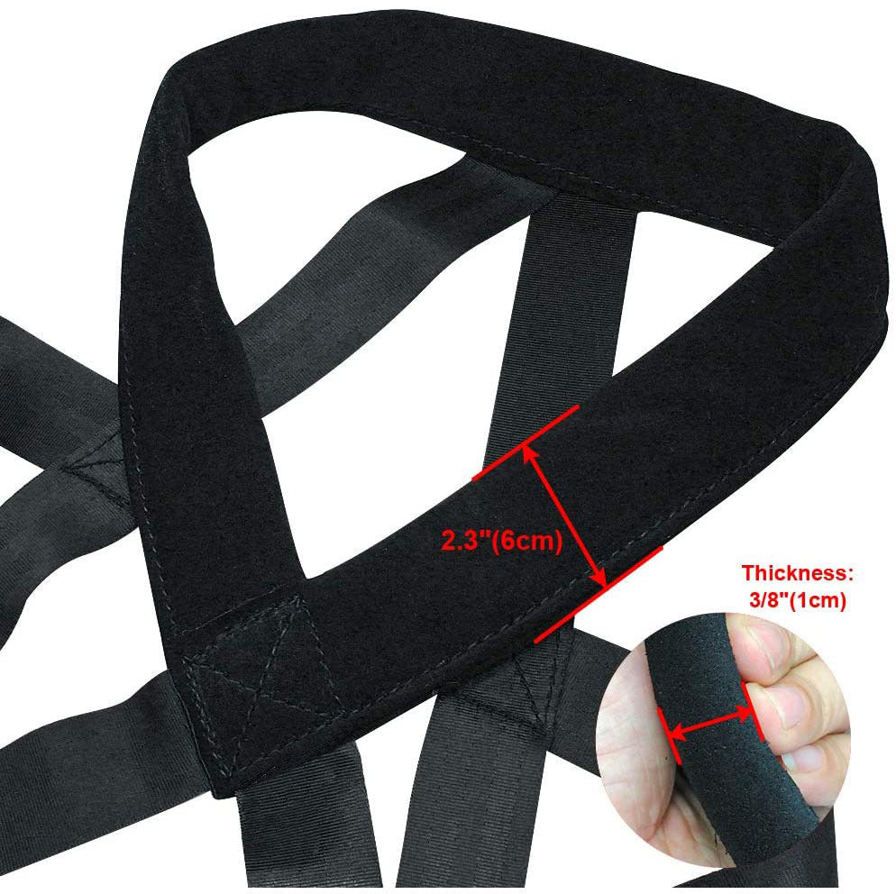 Dog training supplies Leashes Chest straps