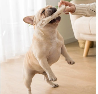 Anti-bite pet toy