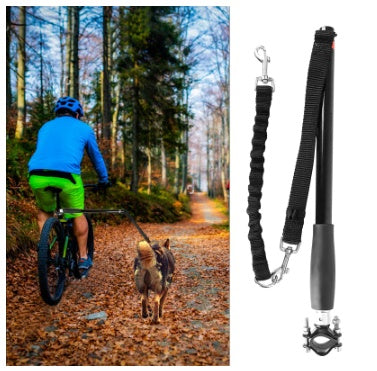 Bicycle Walking Dog Leash Dog