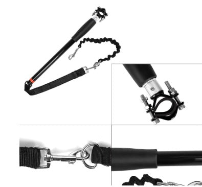 Bicycle Walking Dog Leash Dog