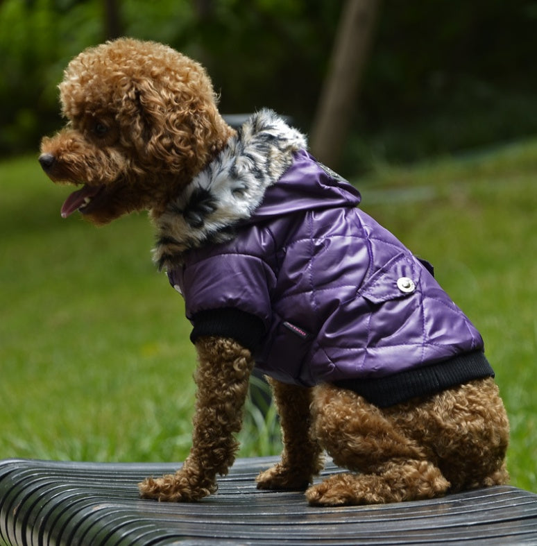 Winter Fur Collar Dog Coat
