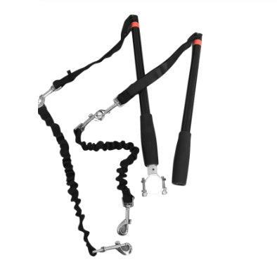 Bicycle Walking Dog Leash Dog