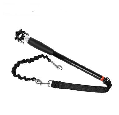 Bicycle Walking Dog Leash Dog