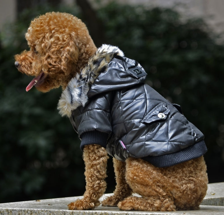 Winter Fur Collar Dog Coat