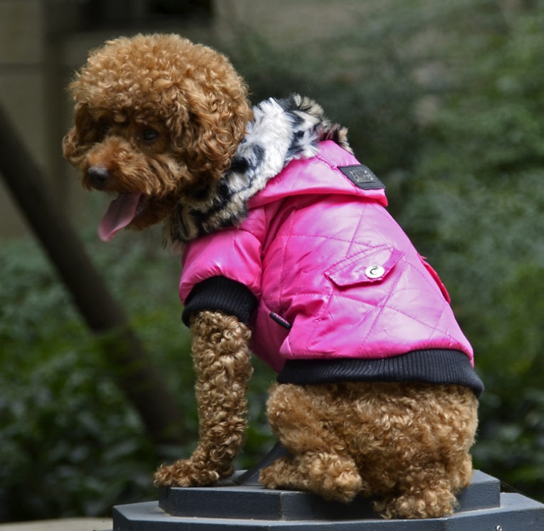 Winter Fur Collar Dog Coat