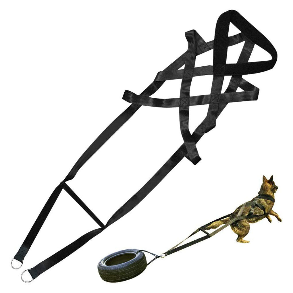 Dog training supplies Leashes Chest straps