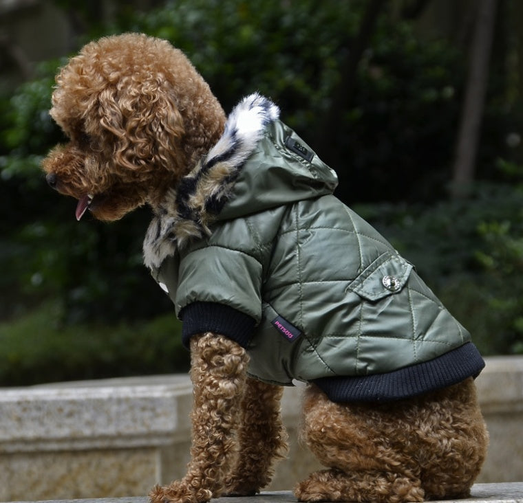 Winter Fur Collar Dog Coat