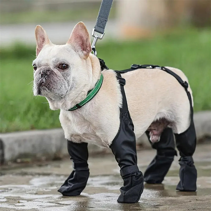 Waterproof Adjustable Dog Boots | Breathable Outdoor Shoes