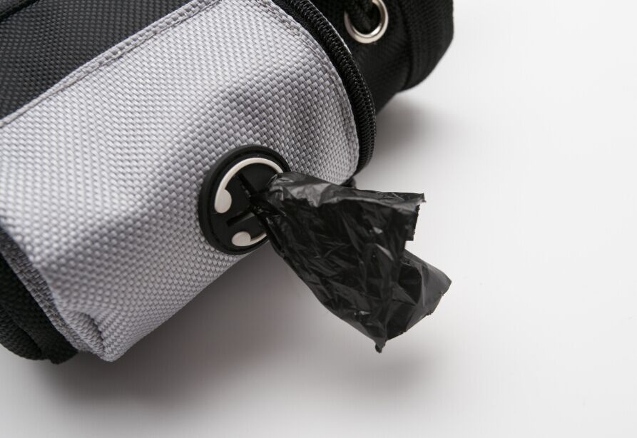 Dog snack bag