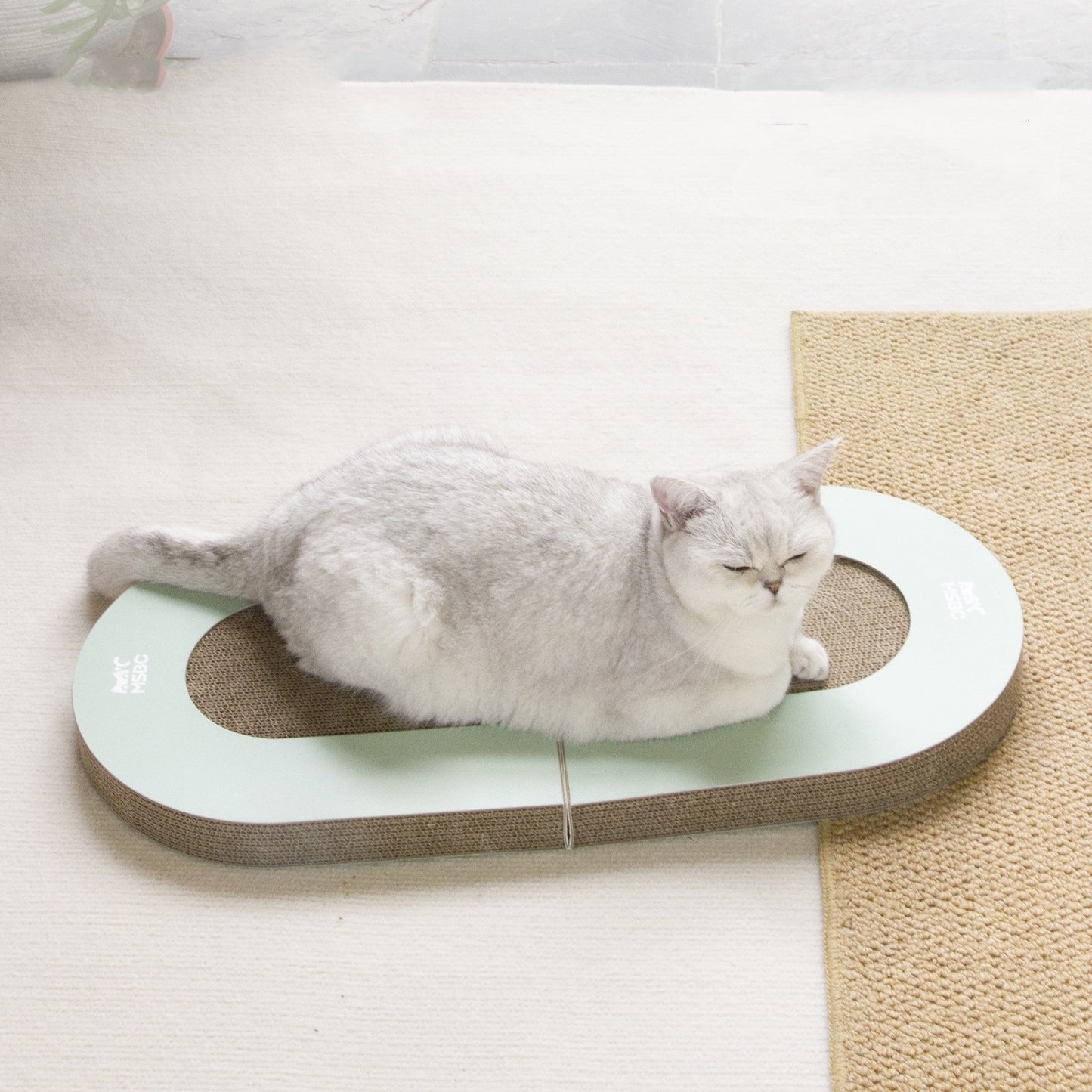 Foldable cat rollerball toy