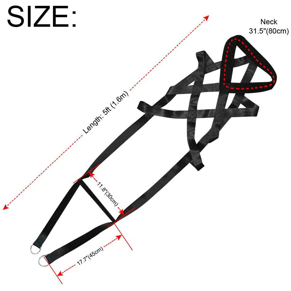 Dog training supplies Leashes Chest straps