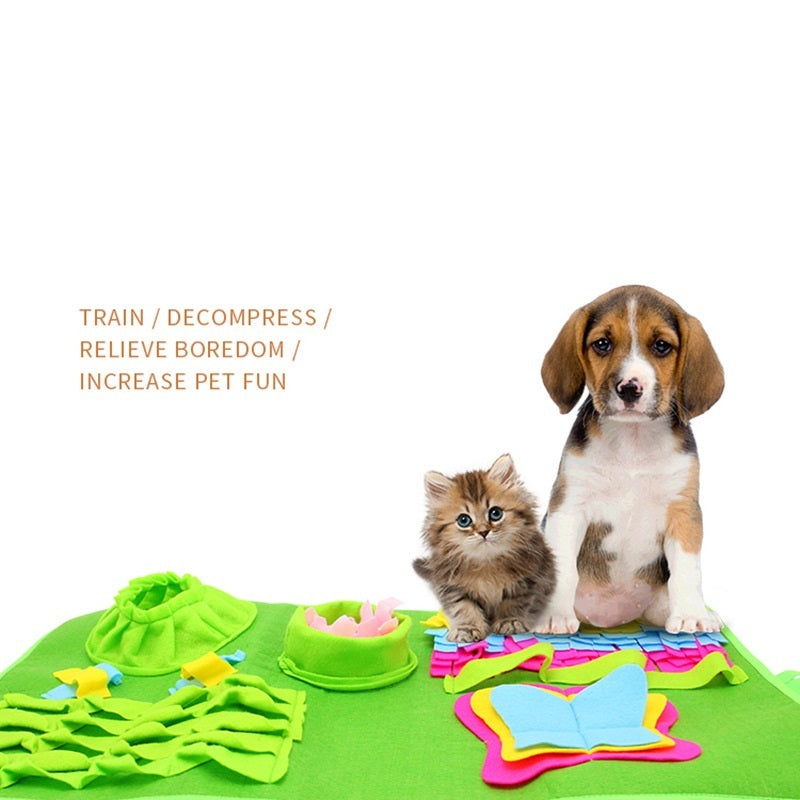 Toy mat to find food for pets to increase IQ