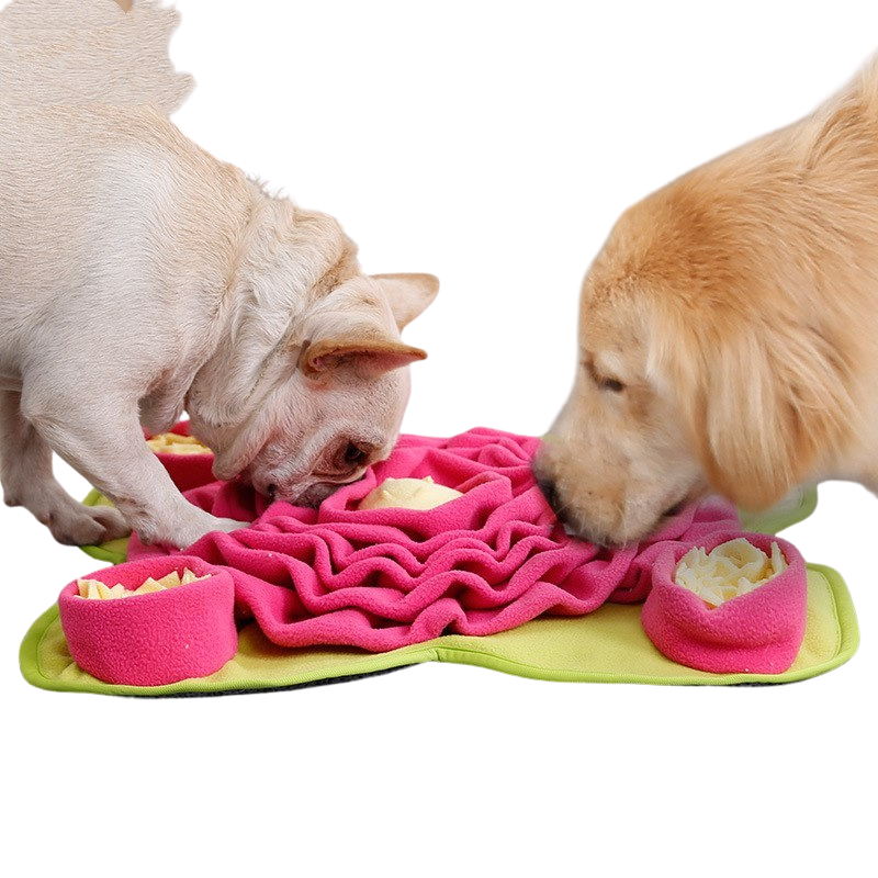 Dog sniff mat training blanket