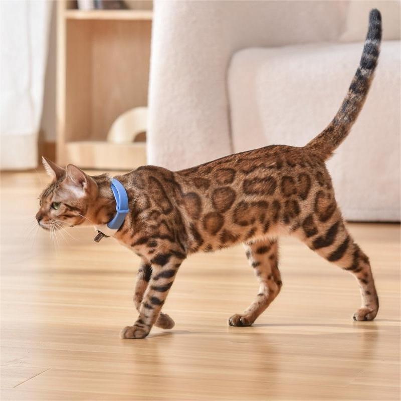 Pet Toy Laser Collar