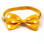 Polka Dot Bow Tie