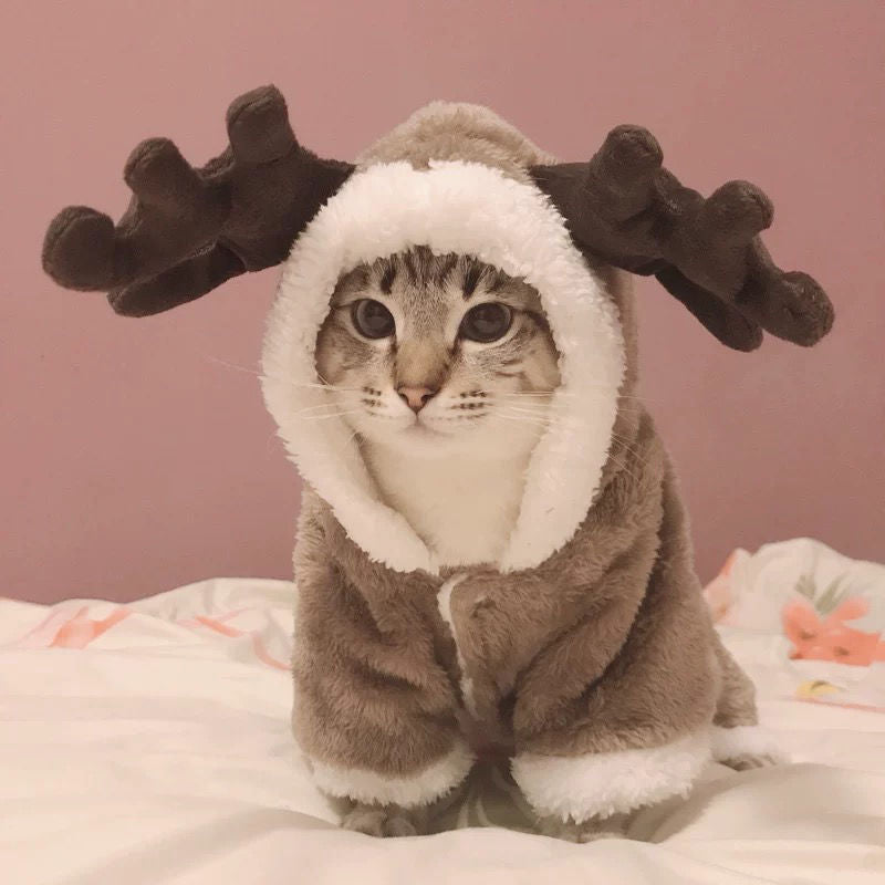 Funny reindeer-shaped coat for pets
