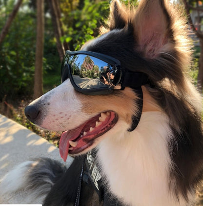 Sunscreen UV Dog Glasses | Windproof Waterproof Goggles