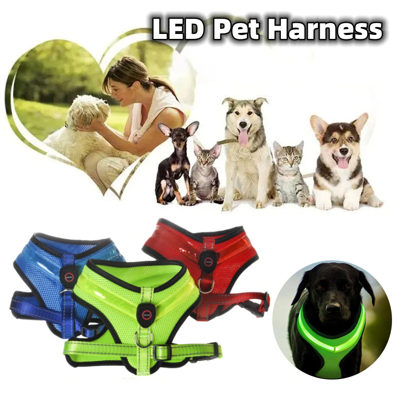 Reflective LED Dog Harness | USB Rechargeable Safety Vest