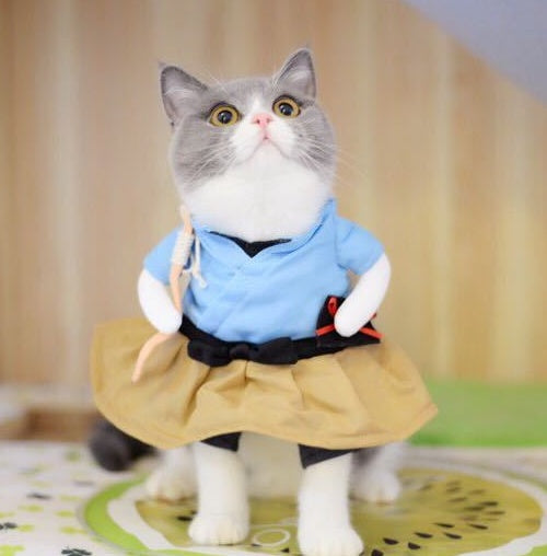 Cat Costume Uniform | Fun Dress-Up for Pets & Cosplay