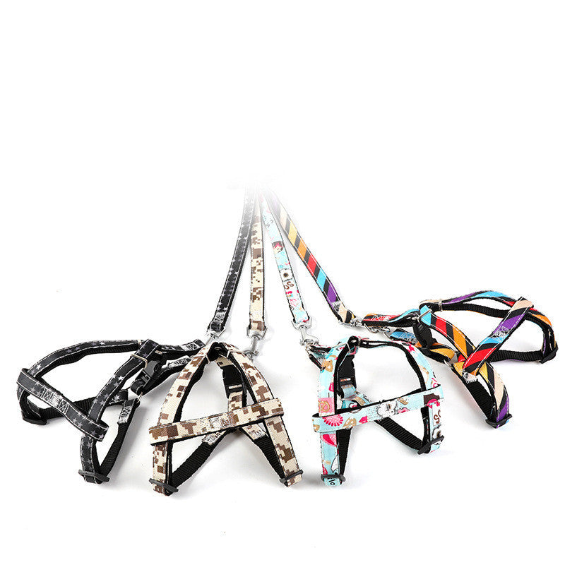 Pet Outing Leash
