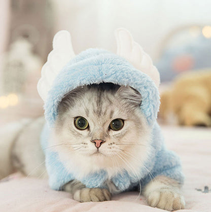 Cat clothes kitten cat cute