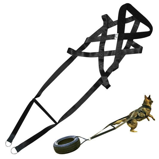 Dog training supplies Leashes Chest straps