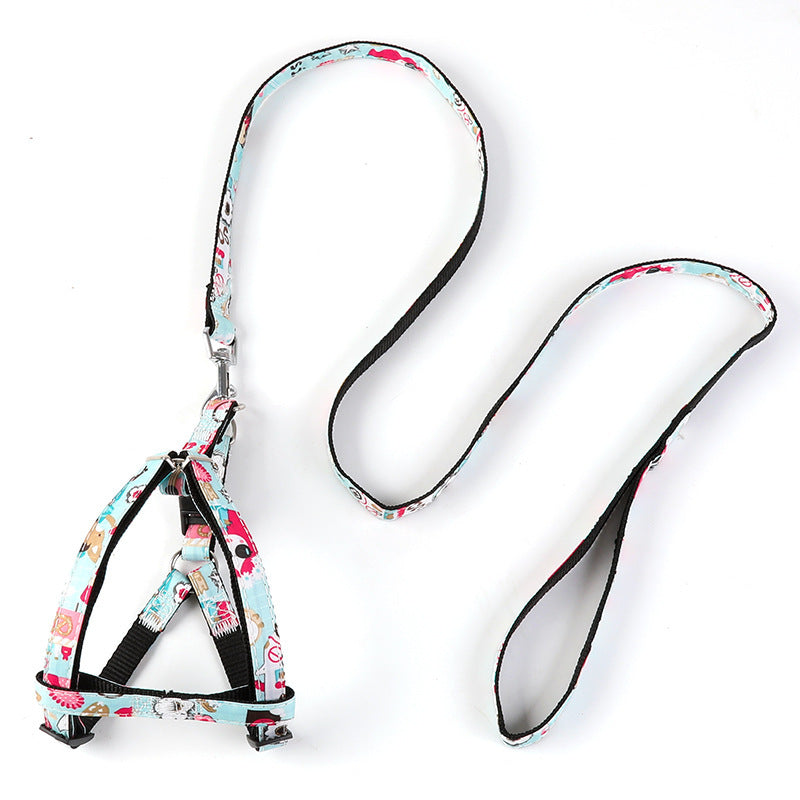 Pet Outing Leash