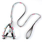 Pet Outing Leash