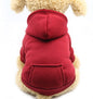 Warm hoodie for pets