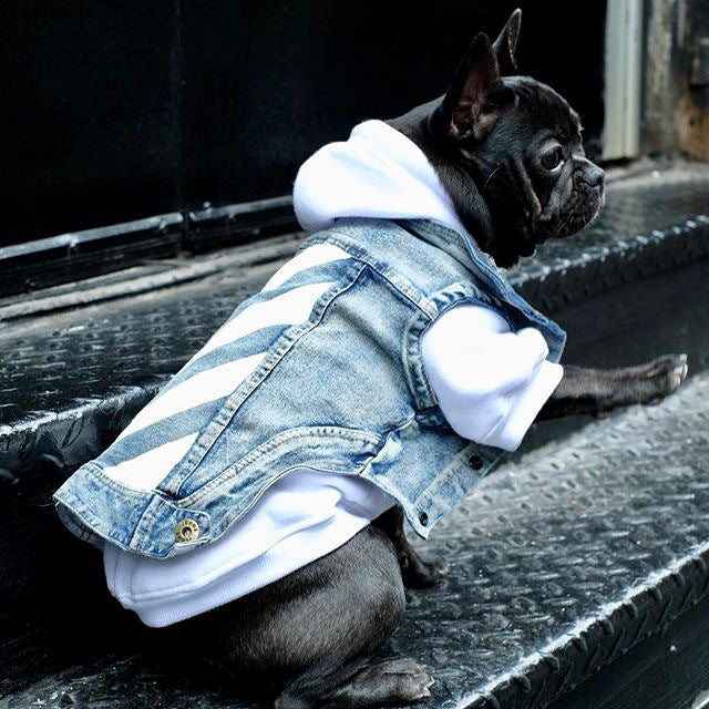 Personalized jean jacket for dogs