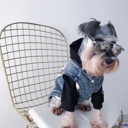 Personalized jean jacket for dogs