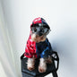 Personalized hoodie for pets