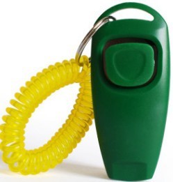 Pet training whistle