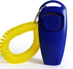Pet training whistle