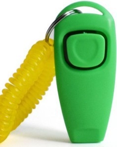 Pet training whistle