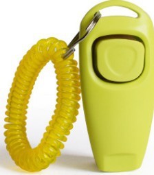 Pet training whistle