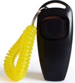 Pet training whistle