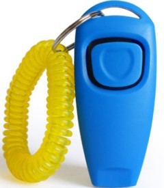 Pet training whistle