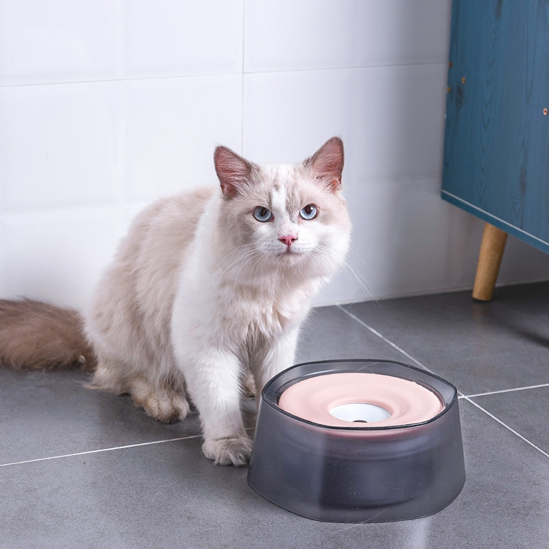 Training bottle for pets to drink water