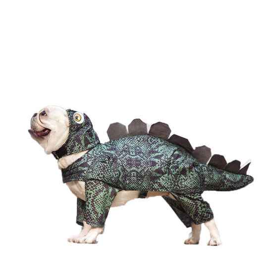 Pet dinosaur clothes