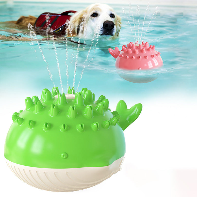 Pet water toy