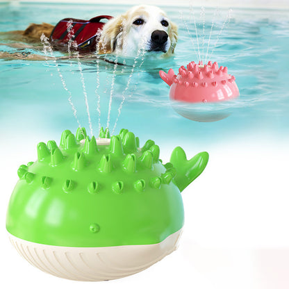 Pet water toy