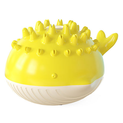 Pet water toy