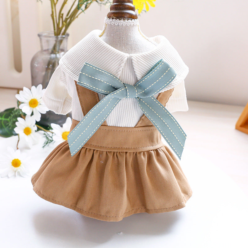 Outing dresses for pets