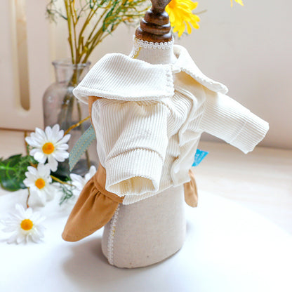 Outing dresses for pets