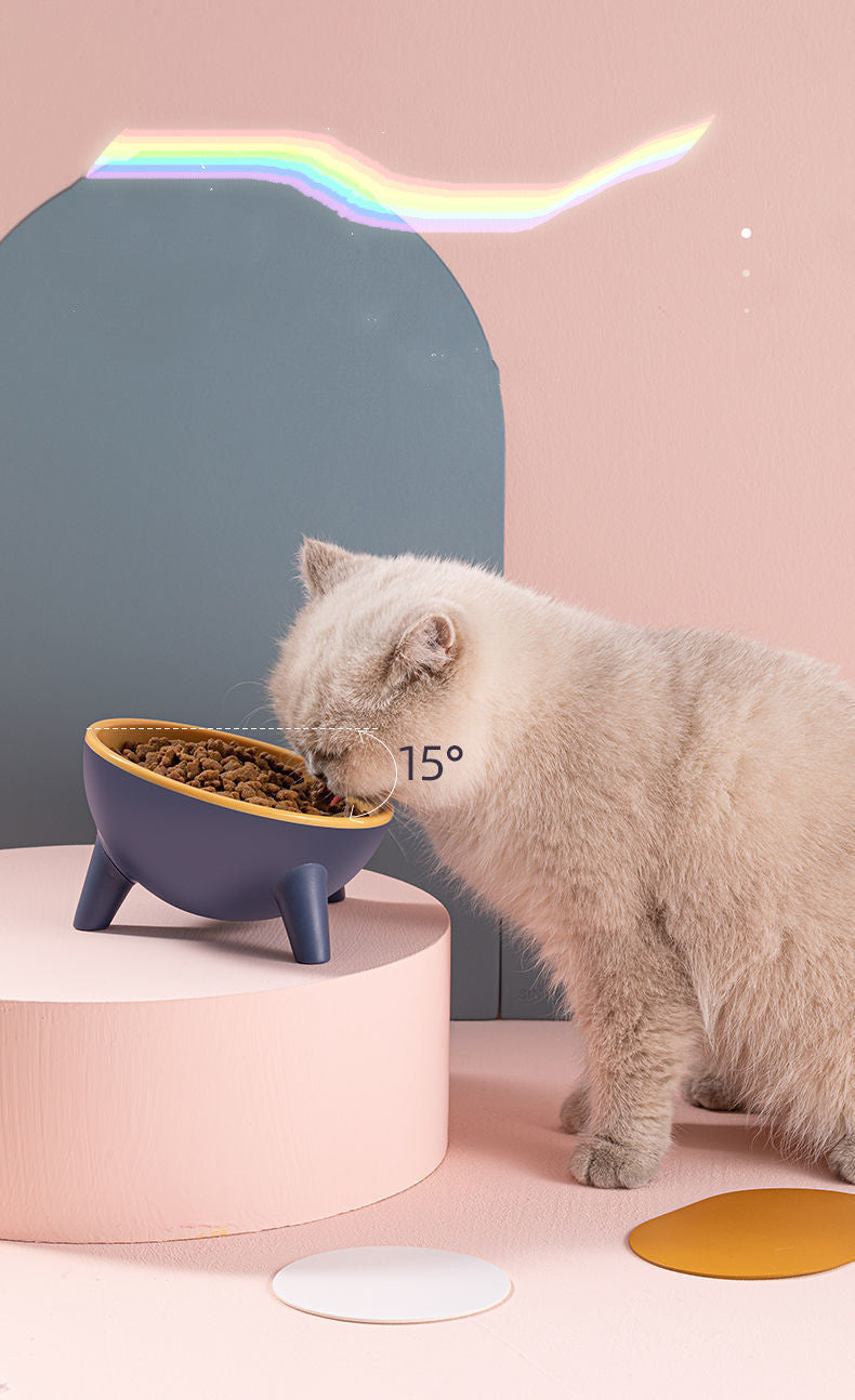 Pet bowl with stand