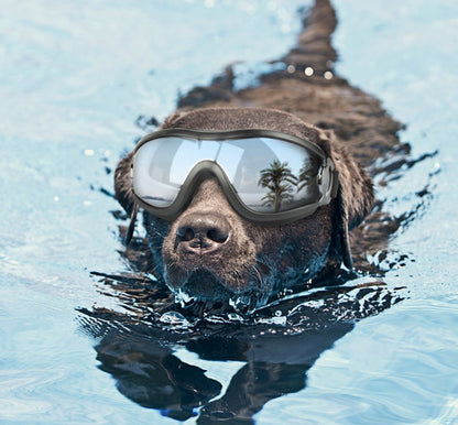 Sunscreen UV Dog Glasses | Windproof Waterproof Goggles