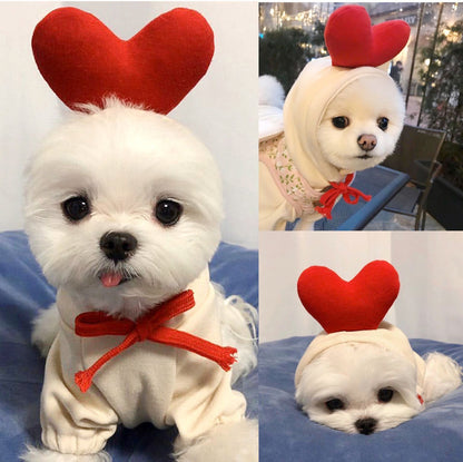 Adorable Autumn/Winter Outfit for Small Pets