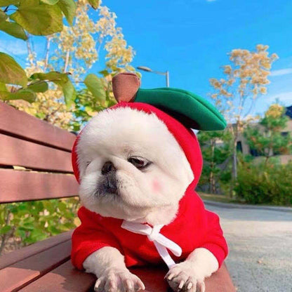 Adorable Autumn/Winter Outfit for Small Pets